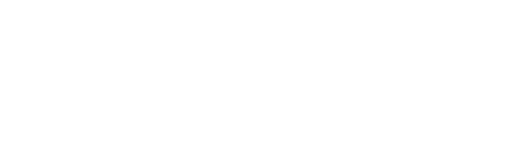 ORION Logo